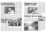 Síða 3