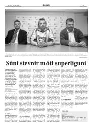 Síða 29