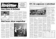 Síða 5