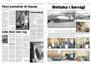 Síða 6
