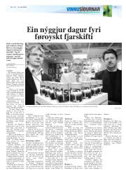 Síða 13