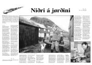 Síða 11