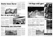 Síða 3