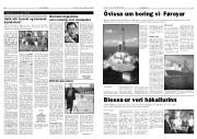 Síða 6