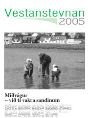 Síða 19