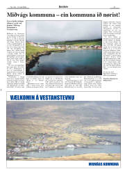 Síða 21