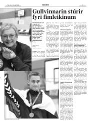 Síða 17