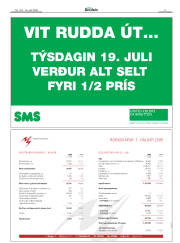 Síða 3