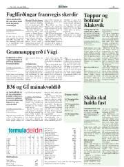 Síða 23