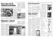 Síða 3