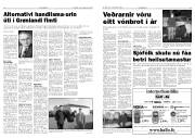 Síða 7