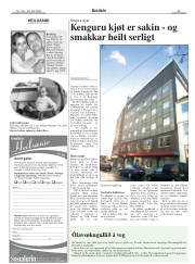Síða 33