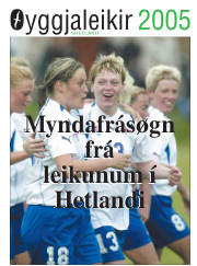Síða 17