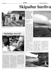 Síða 8