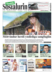 Síða 1