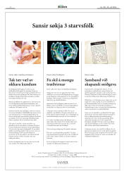 Síða 2