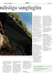 Síða 25
