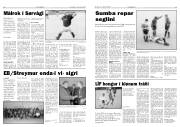 Síða 8