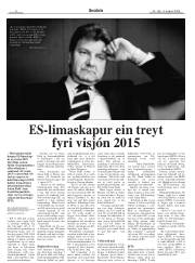 Síða 8