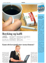 Síða 31