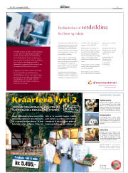 Síða 3