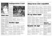 Síða 12