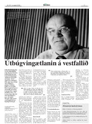 Síða 17