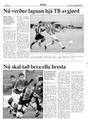 Síða 20