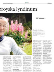 Síða 25