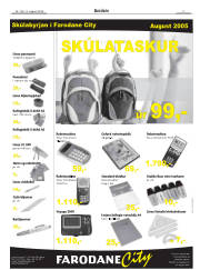 Síða 3