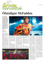 Síða 17