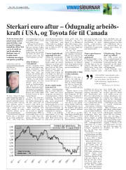 Síða 17