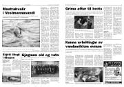 Síða 3