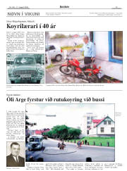 Síða 13
