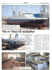 Síða 20