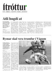 Síða 17