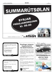 Síða 19