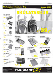 Síða 21
