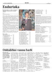 Síða 17