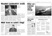 Síða 4