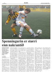 Síða 22