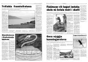 Síða 5