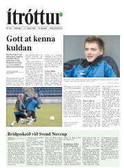 Síða 17