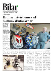 Síða 19