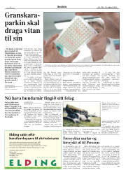 Síða 4