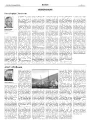 Síða 11