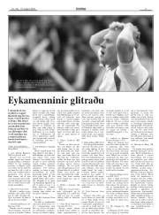 Síða 17