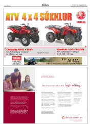 Síða 4