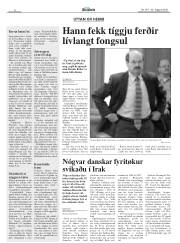 Síða 8