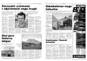 Síða 3